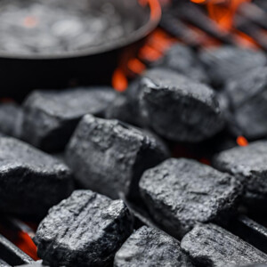 POCKET Kolumne Juli: Vegan Grillen inkl. Rezept für Pizza vom Grill