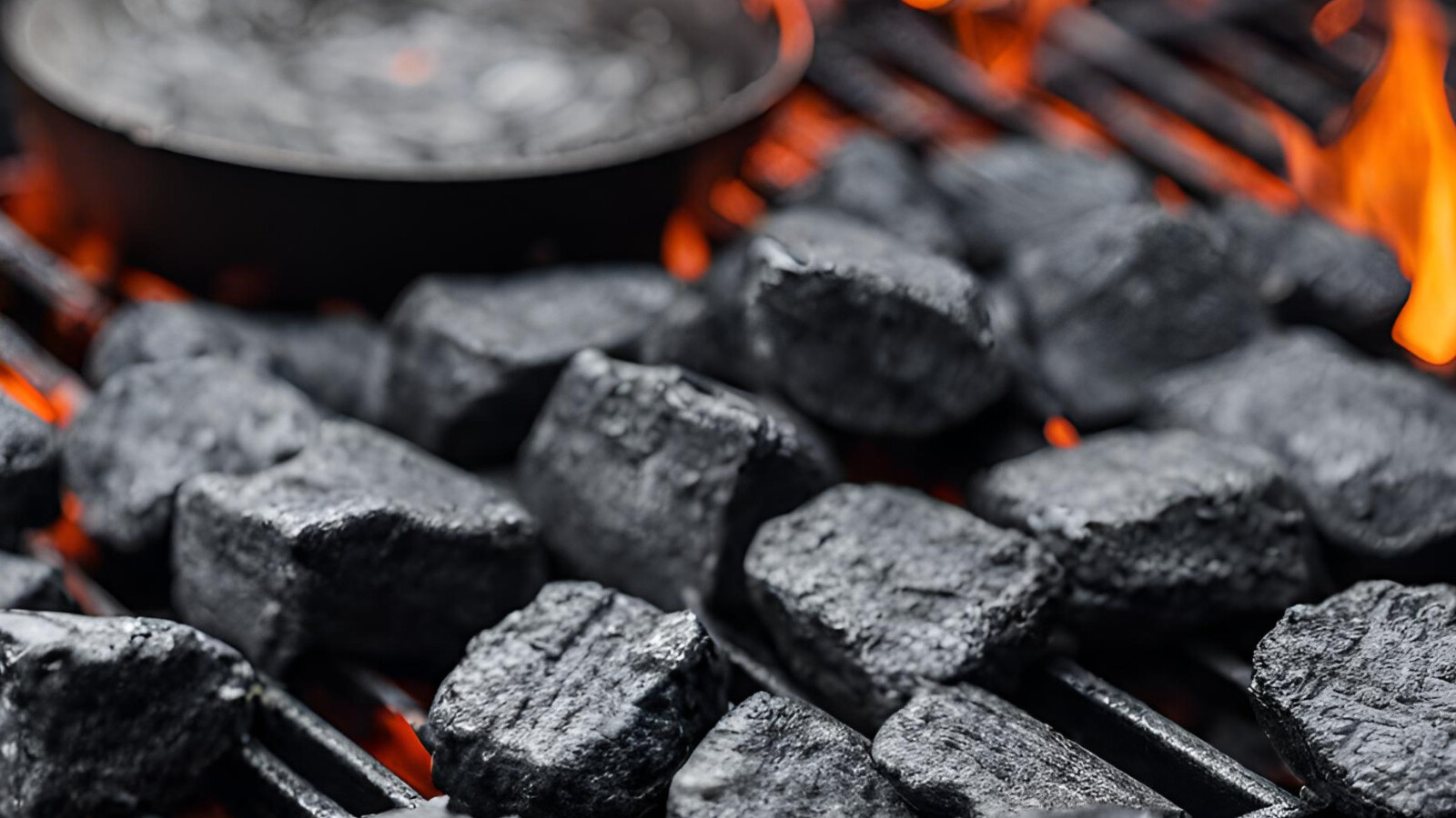 POCKET Kolumne Juli: Vegan Grillen inkl. Rezept für Pizza vom Grill