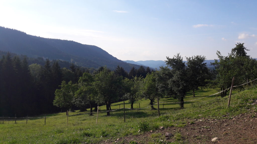 Der Löcherhansenhof – Bad Peterstal-Griesbach im Schwarzwald: Wander- und Familienurlaub