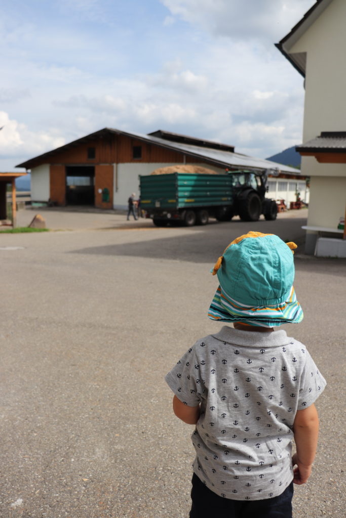 Der Löcherhansenhof – Bad Peterstal-Griesbach im Schwarzwald: Wander- und Familienurlaub