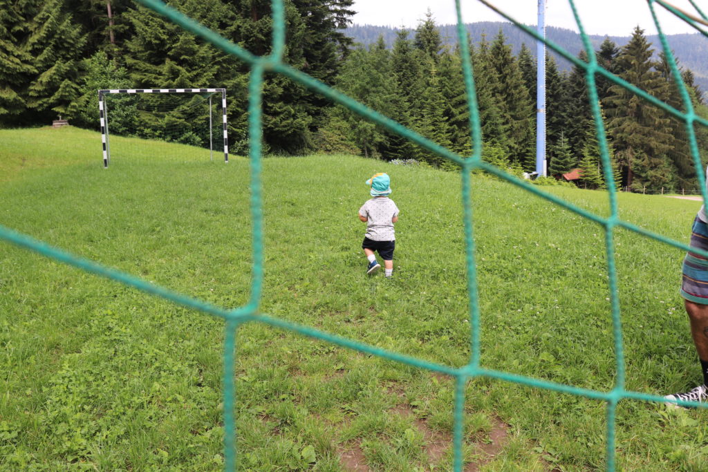 Der Löcherhansenhof – Bad Peterstal-Griesbach im Schwarzwald: Wander- und Familienurlaub