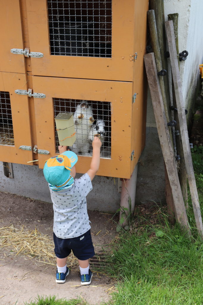 Der Löcherhansenhof – Bad Peterstal-Griesbach im Schwarzwald: Wander- und Familienurlaub