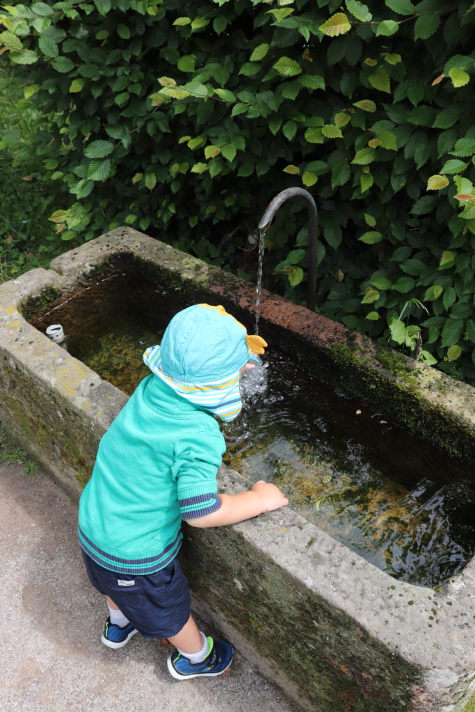 Unternehmungen in der Umgebung – Bad Peterstal-Griesbach im Schwarzwald: Wander- und Familienurlaub