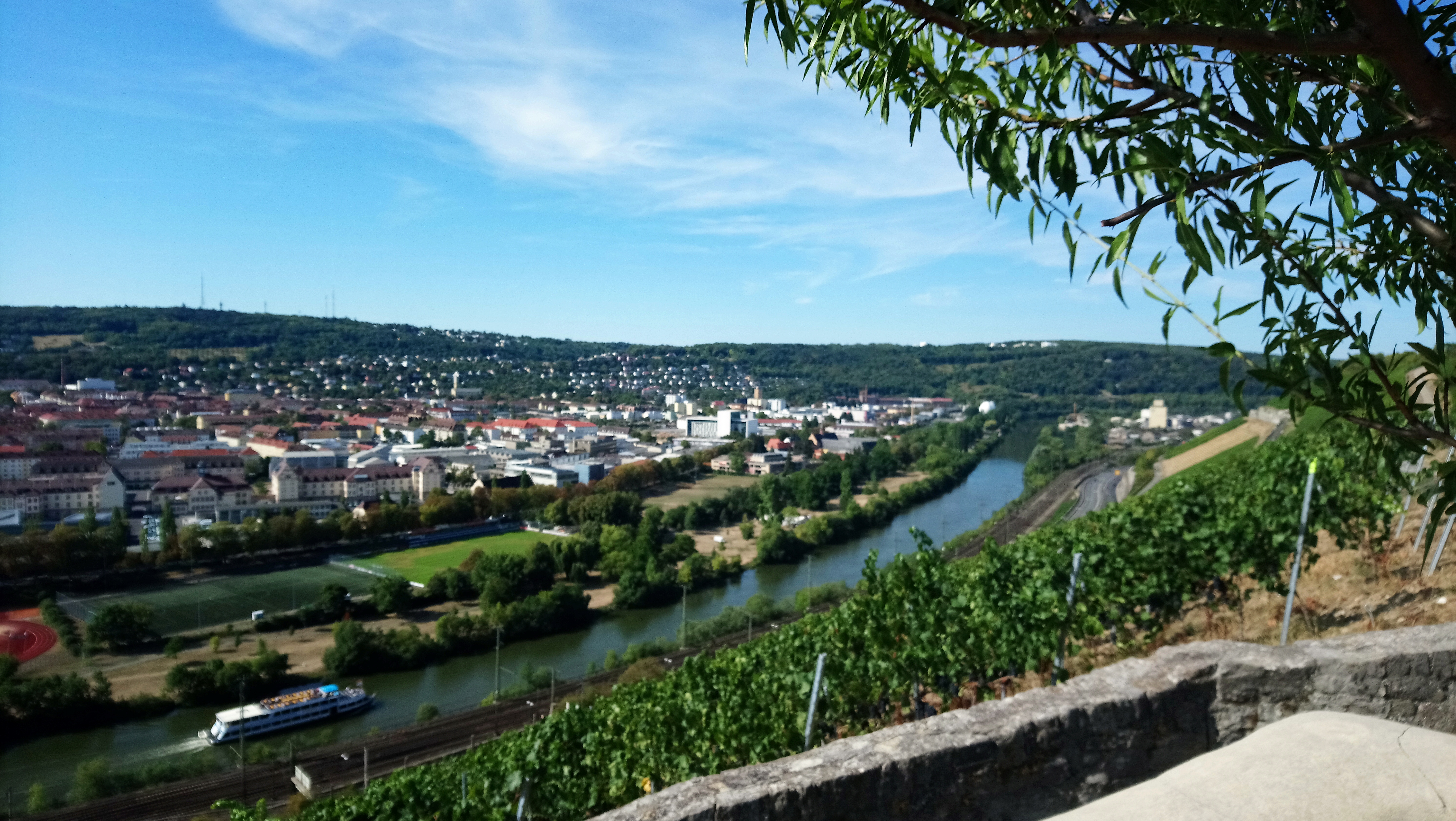Unser schönes Familien-Wochenende in Würzburg: Von Elvis bis ibis