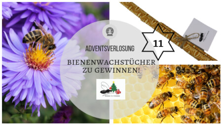 Adventskalender 14. Dezember 2018: Aktiviere die Superheldin in dir – mit Gewinnspiel!