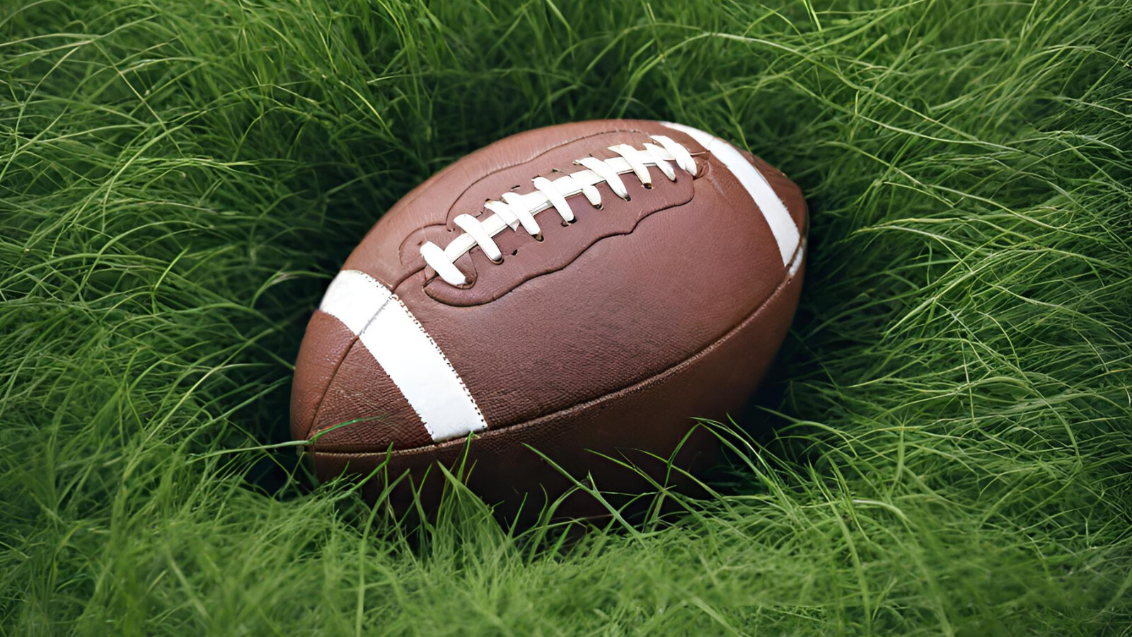 Der Super Bowl steht an – Selbstgemachte Snacks aus dem Dörrgerät