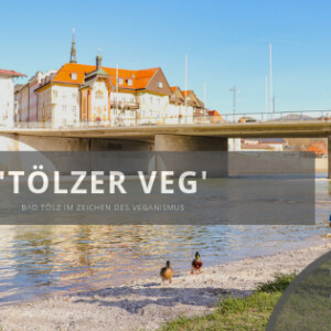 BKK ProVita – Die vegan-freundlichste Versicherung im Interview