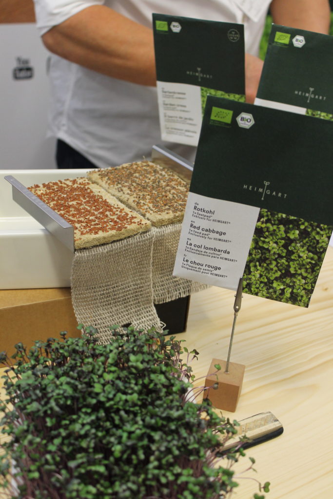 Messebericht zur Veggieworld München 2019 – Gastartikel