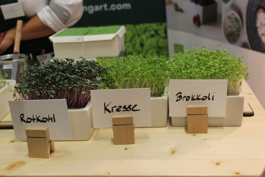 Messebericht zur Veggieworld München 2019 – Gastartikel