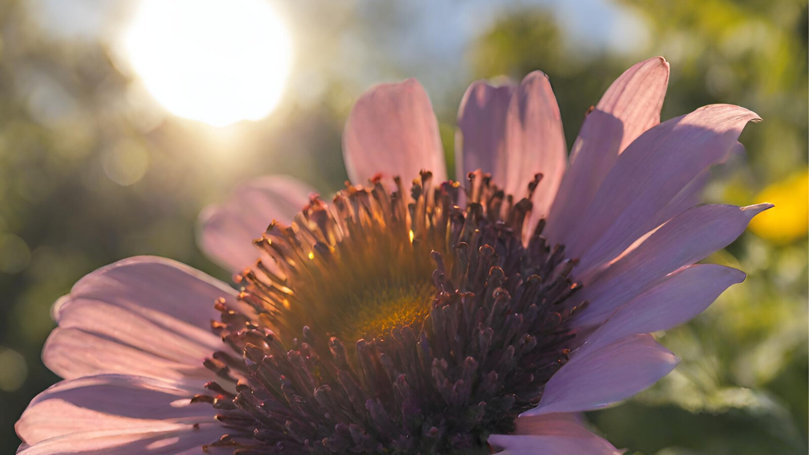 Sonnencreme natürlich & bio – Geht das?