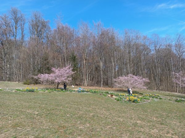 Immer wieder schön: Der Botanische Garten in Ulm