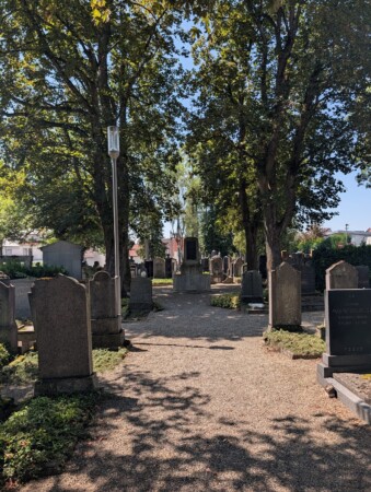 Hauptweg über den jüdischen Friedhof Laupheim zwischen alten Bäumen