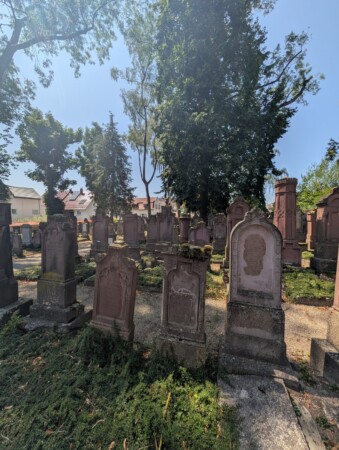 Rötliche Sandstein-Grabsteine auf dem jüdischen Friedhof Laupheim