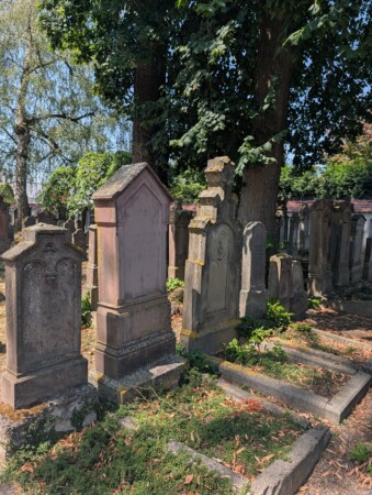 Grabreihen unter hohen Bäumen auf dem jüdischen Friedhof Laupheim