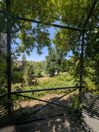 Blick durch eine berankte Pergola in den Schlosspark Laupheim