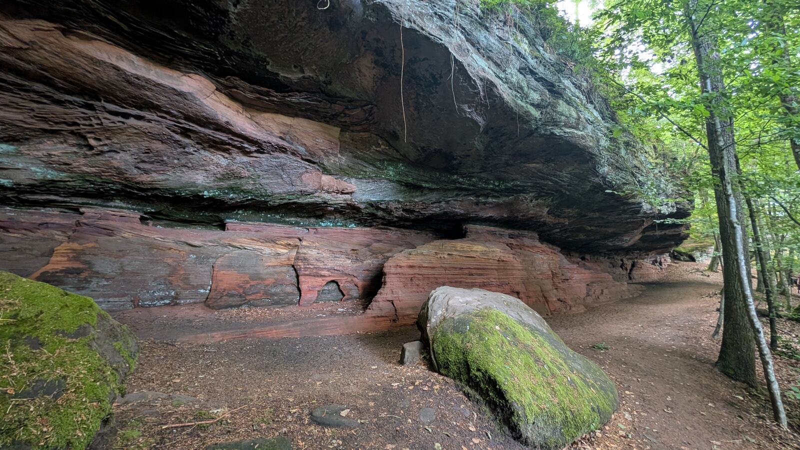 Breite rote Felswand im Wald