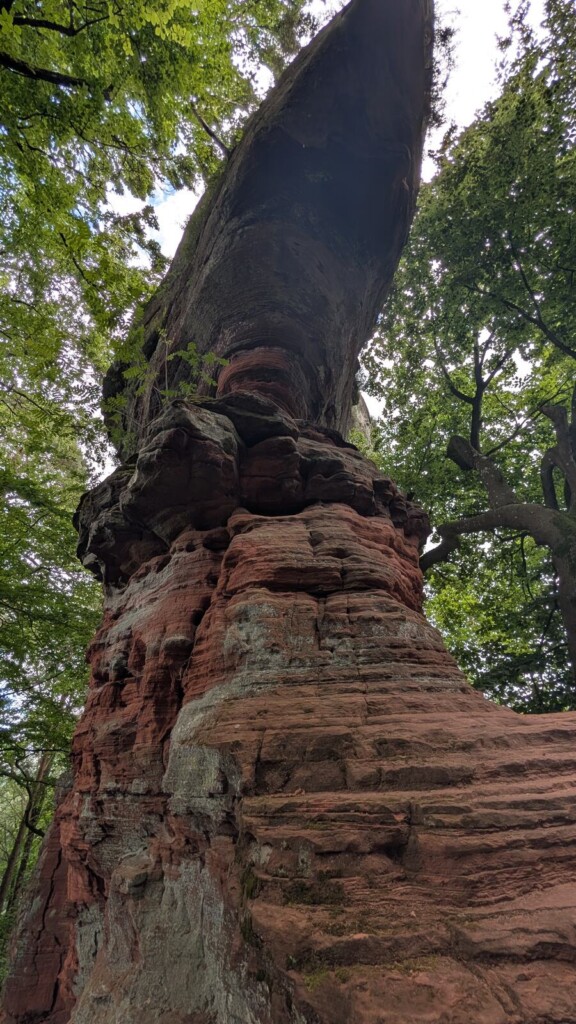 Grosser pilzfoermiger Felsen zwischen Baeumen