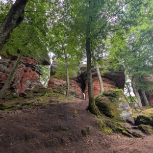 Blick auf die lange Felsreihe der Altschlossfelsen
