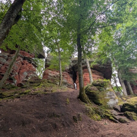 Altschlossfelsen bei Eppenbrunn: 1,5 Kilometer Felsen, Felsentor und ein Weg für Familien