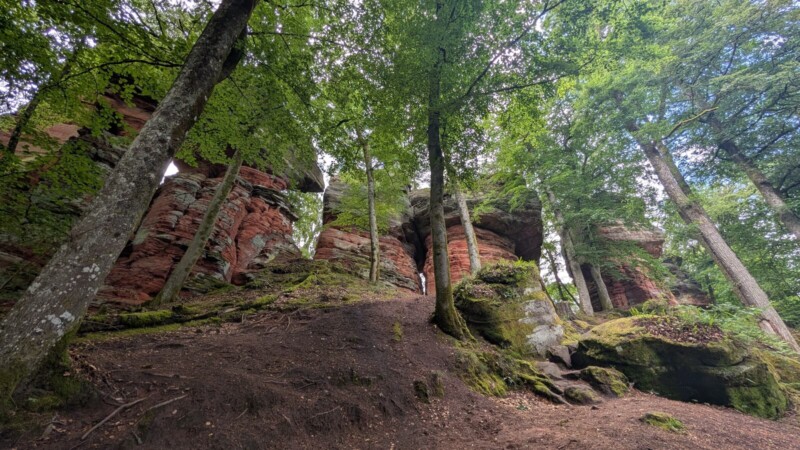 Altschlossfelsen bei Eppenbrunn: 1,5 Kilometer Felsen, Felsentor und ein Weg für Familien