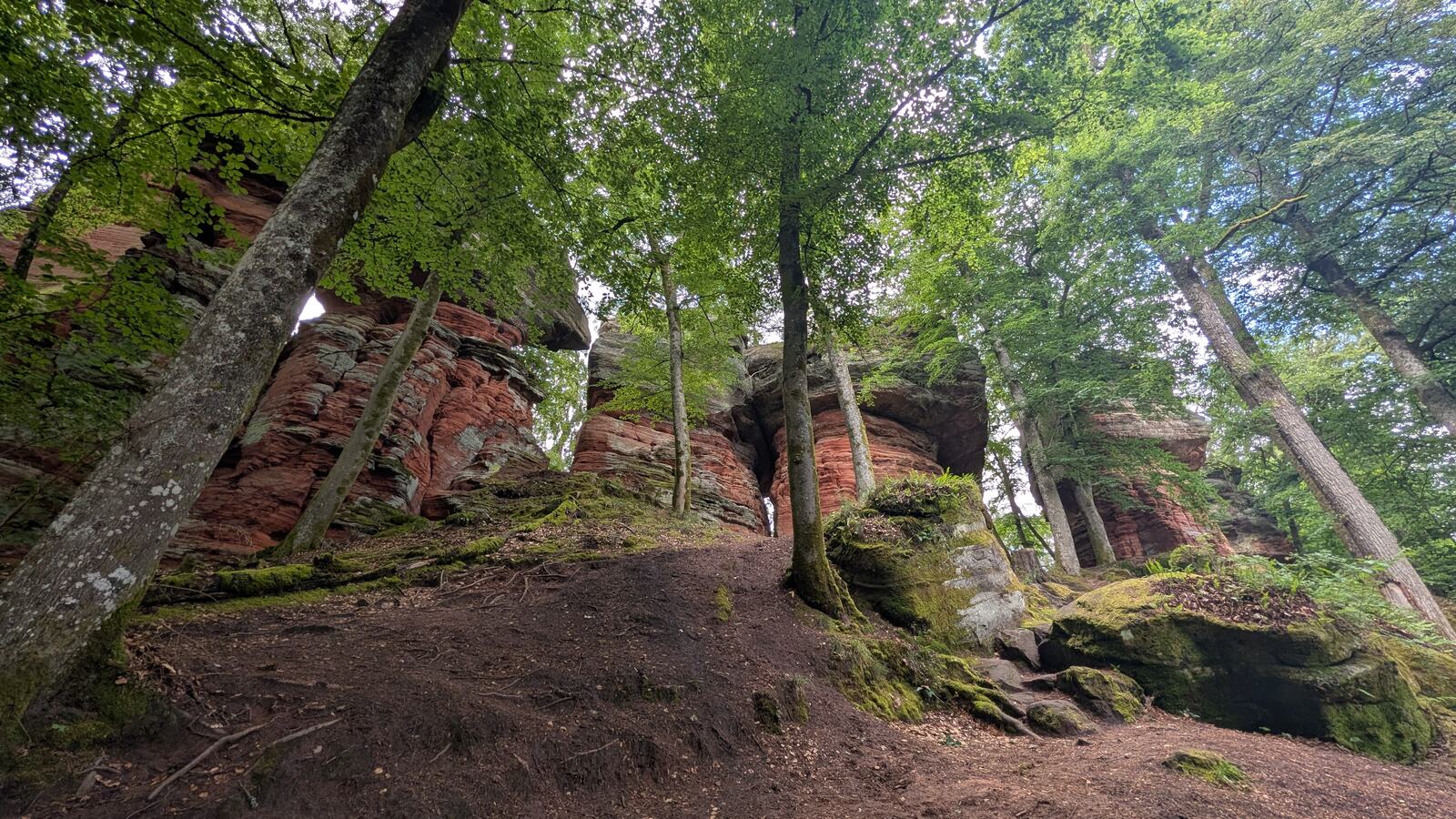 Altschlossfelsen bei Eppenbrunn: 1,5 Kilometer Felsen, Felsentor und ein Weg für Familien