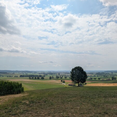 Aussichtspunkt Daxberg bei Erkheim: 613 Meter, Alpenblick und ein paar Kühe