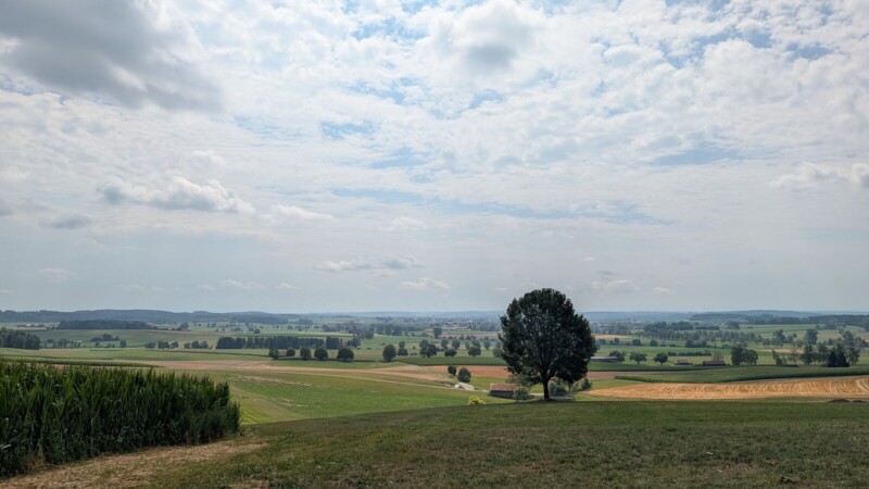 Aussichtspunkt Daxberg bei Erkheim: 613 Meter, Alpenblick und ein paar Kühe