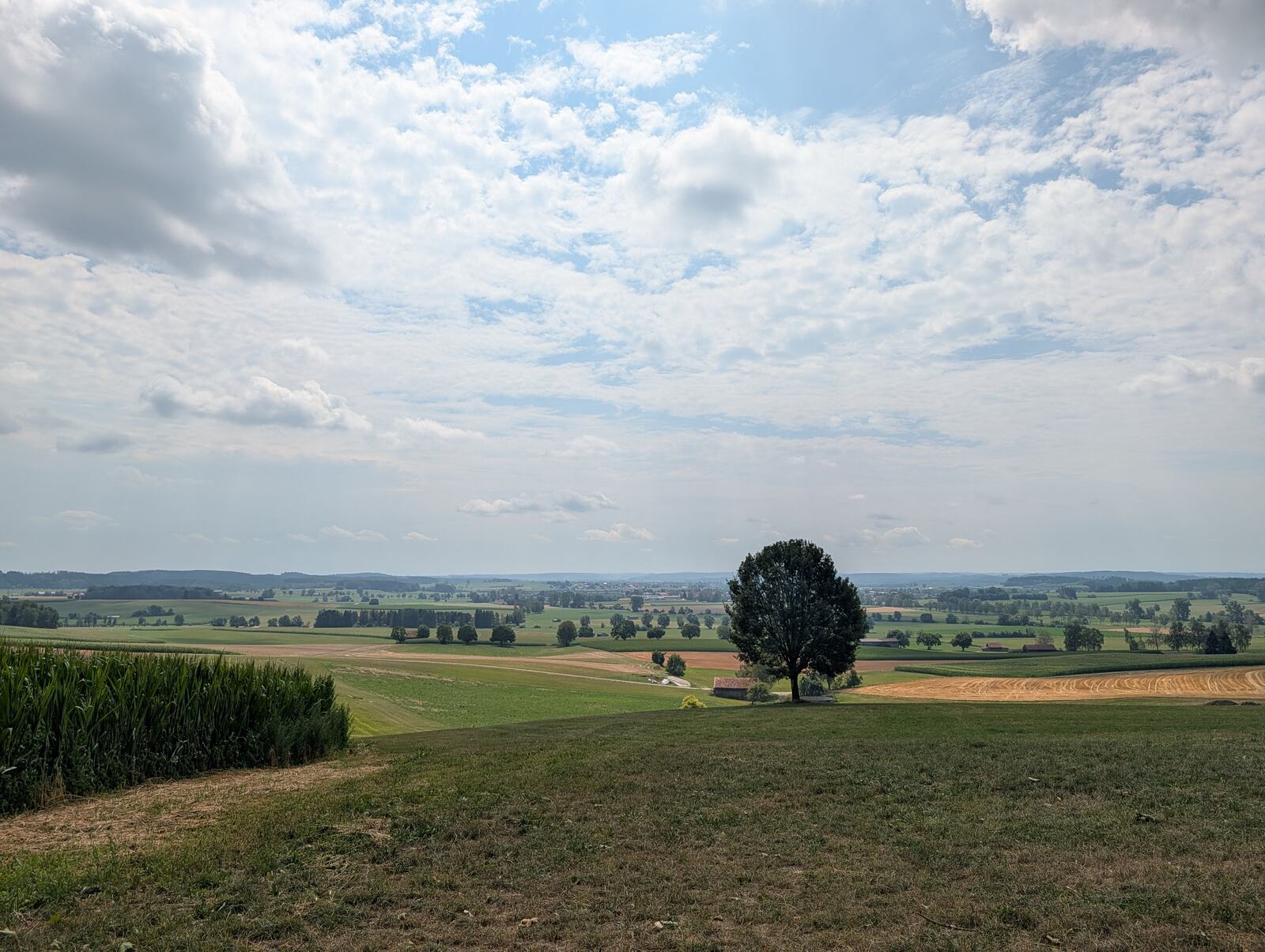 Aussichtspunkt Daxberg bei Erkheim: 613 Meter, Alpenblick und ein paar Kühe