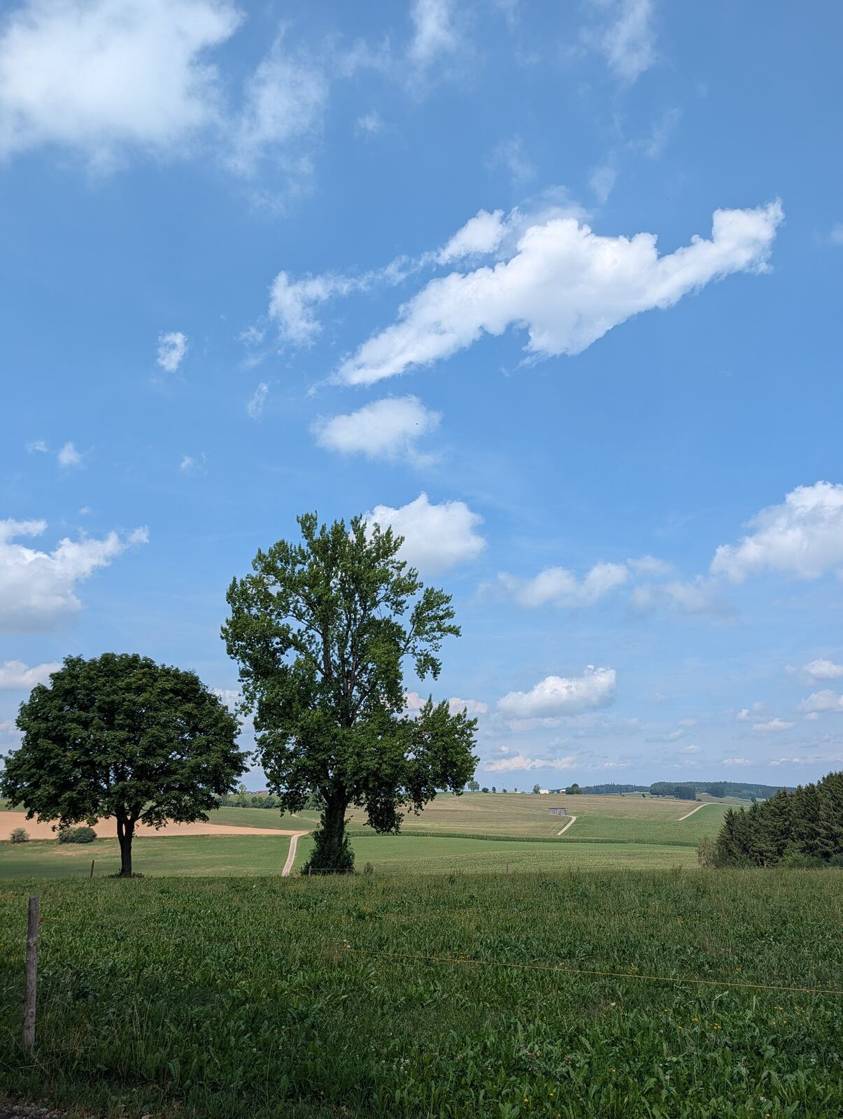 Weite Felder am Daxberg bei Erkheim