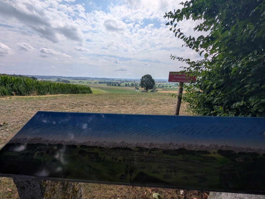 Zwei Baeume auf der Wiese am Daxberg