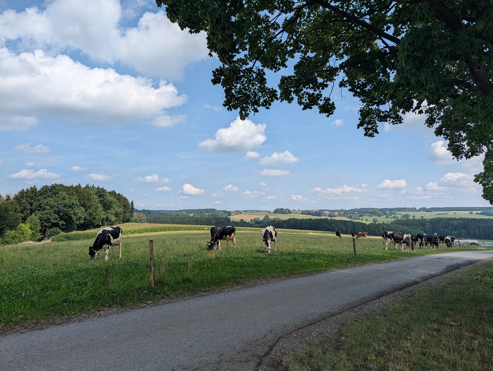 Panoramatafel am Aussichtspunkt Daxberg