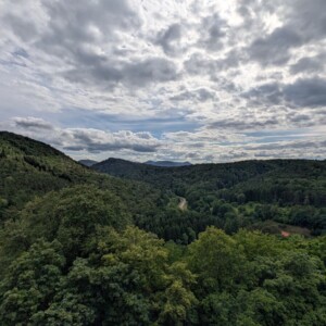 Blick von der Burg ueber den Pfaelzerwald
