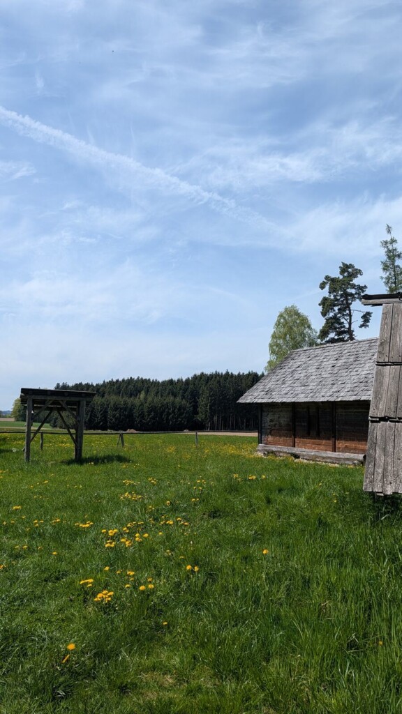 Rekonstruiertes Gebaeude auf der Wiese