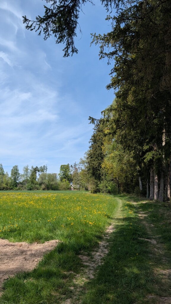 Weg entlang des Waldrands am Keltenpfad