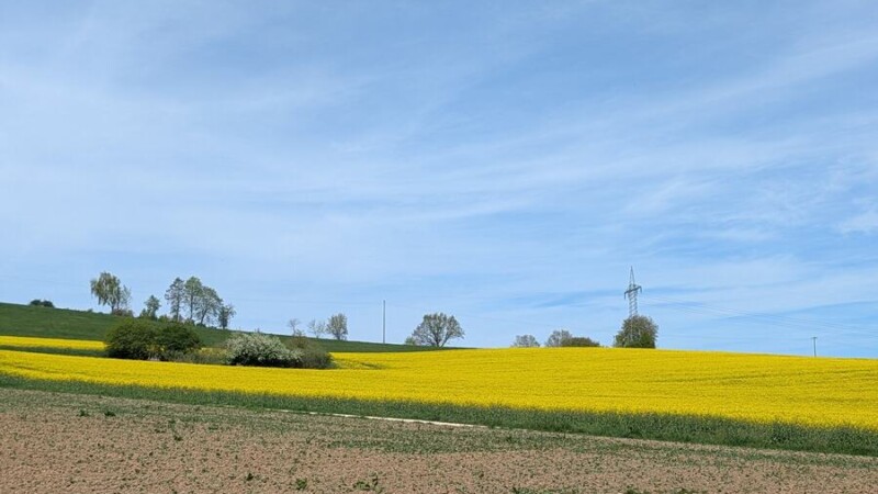 Keltenpfad Ichenhausen: Grabhügel, Druiden und ein Keltengehöft zum Anfassen