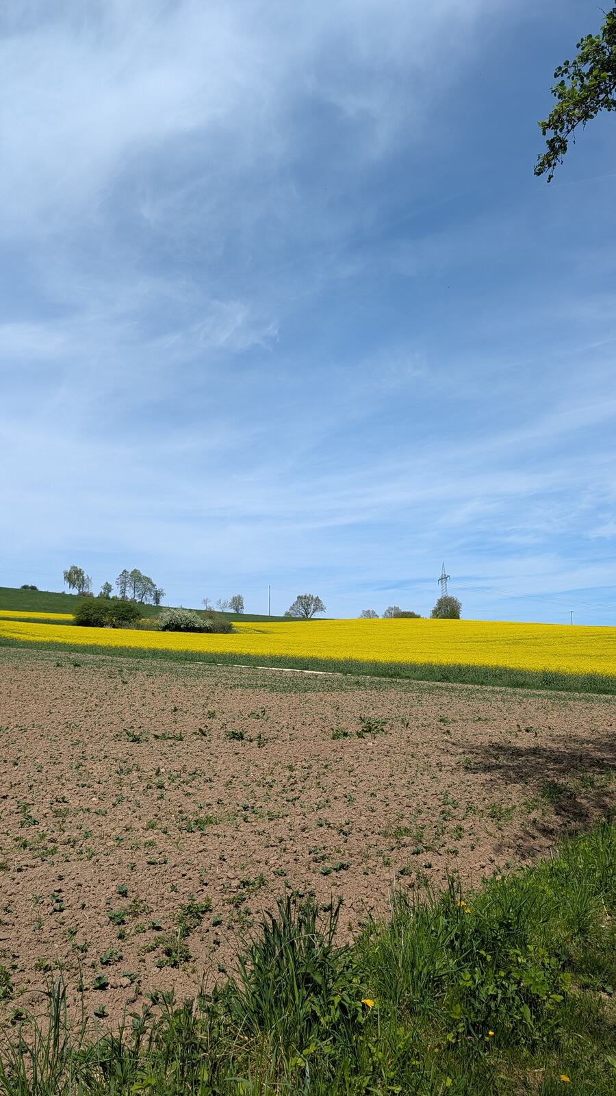 Keltenpfad Ichenhausen: Grabhügel, Druiden und ein Keltengehöft zum Anfassen