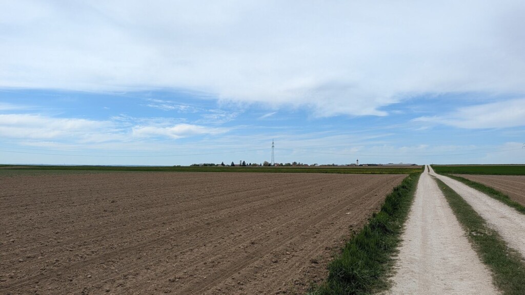 Feldweg zwischen den Aeckern
