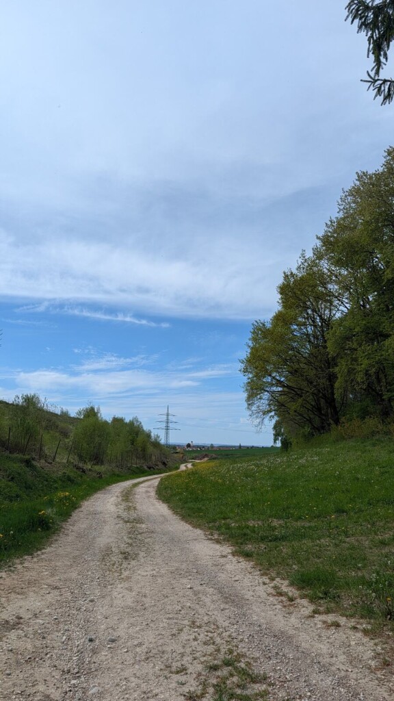Weggabelung am Keltenpfad
