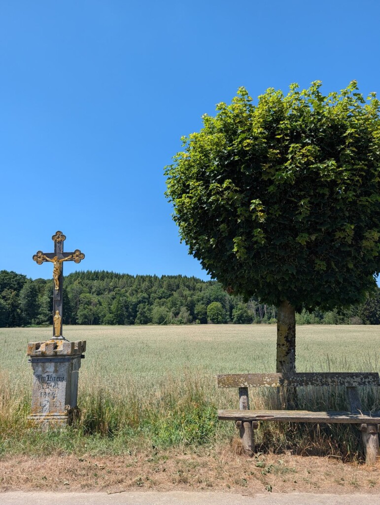 Wegkreuz mit Baum und Bank bei Gutenzell