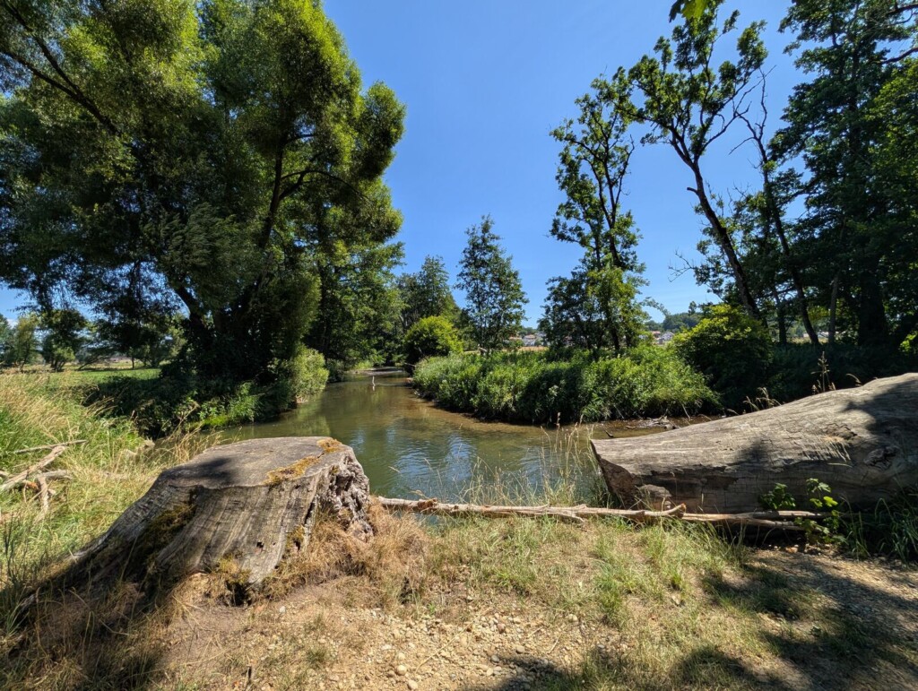 Fluss mit Baumstaemmen am Ufer bei Gutenzell