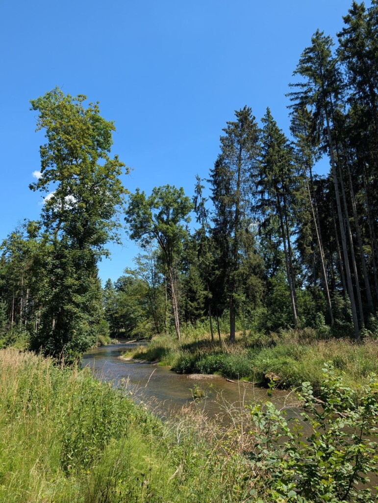 Bach im Gruenen bei Gutenzell