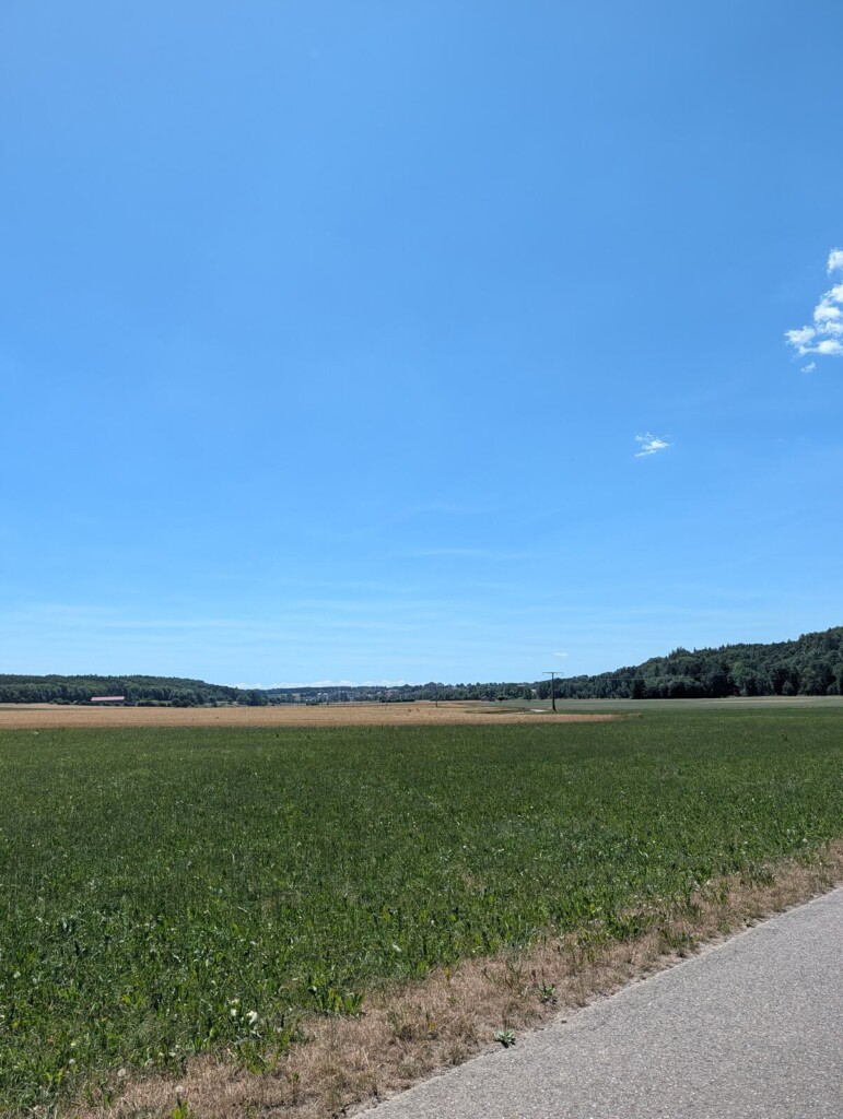 Feldweg zwischen Aeckern bei Gutenzell