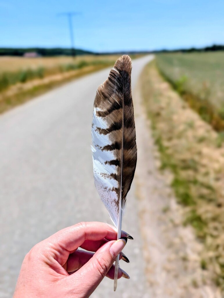 Feder in der Hand auf dem Feldweg