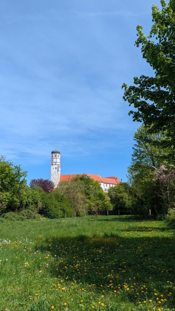 Wiese mit Blick auf den Kirchturm
