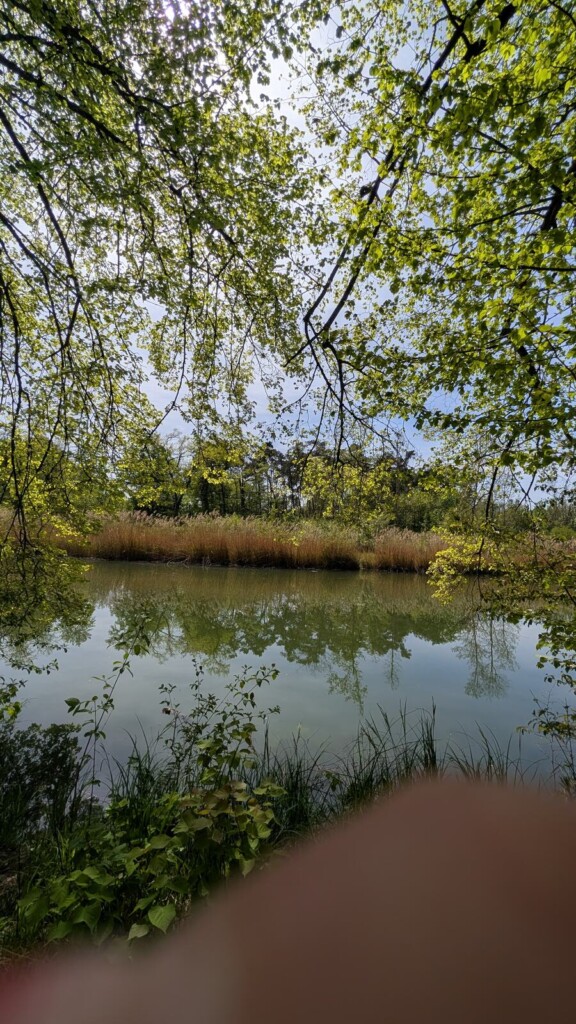 Fluss mit Baeumen am Ufer
