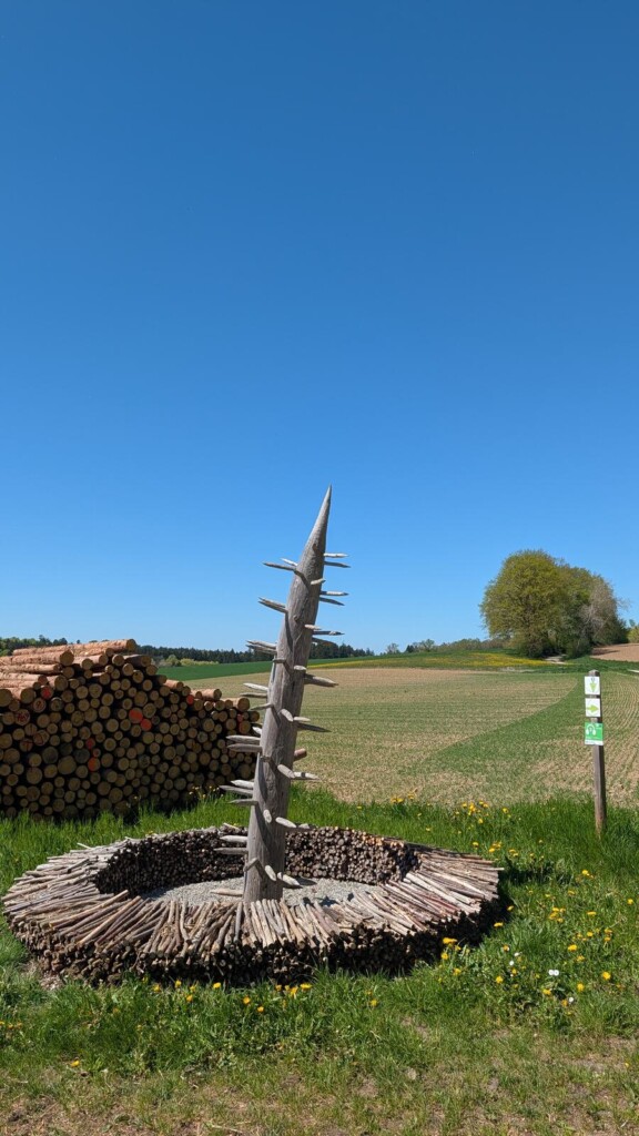 Kreisfoermige Holzinstallation im Wald