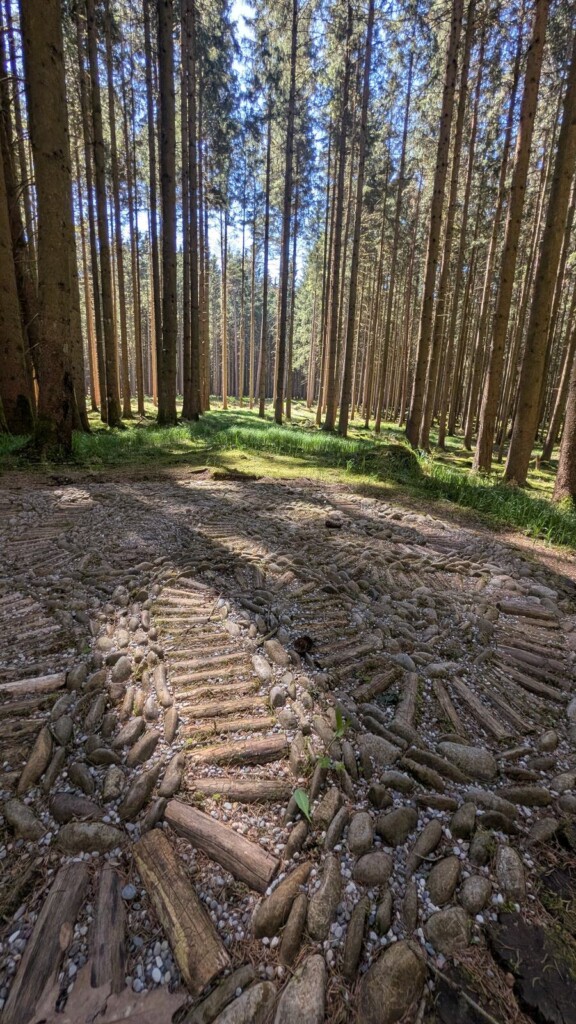 Spiralmuster auf dem Waldboden
