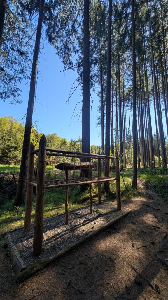 Zaun-Installation im Wald