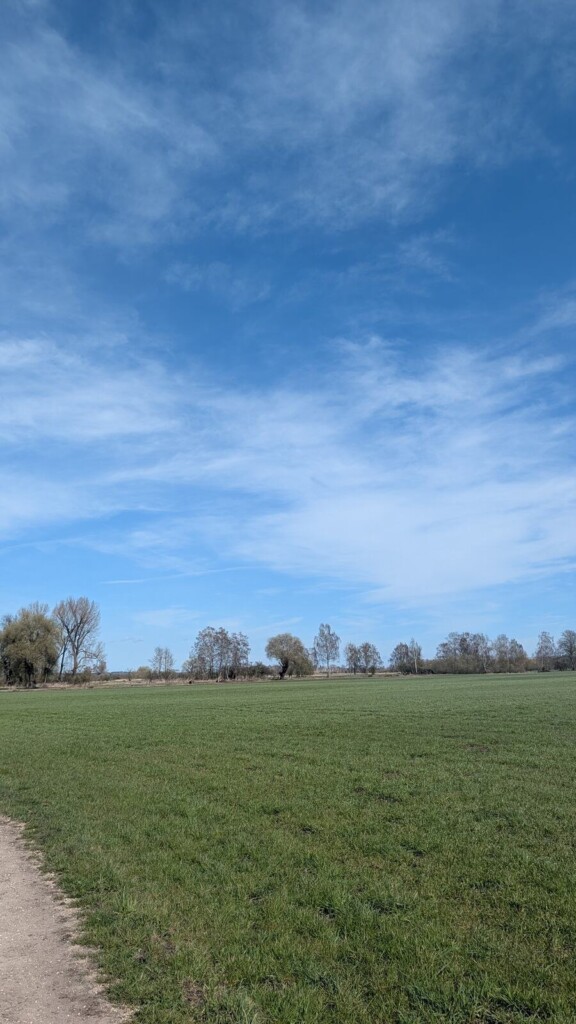 Feldweg am Rand des Mooses