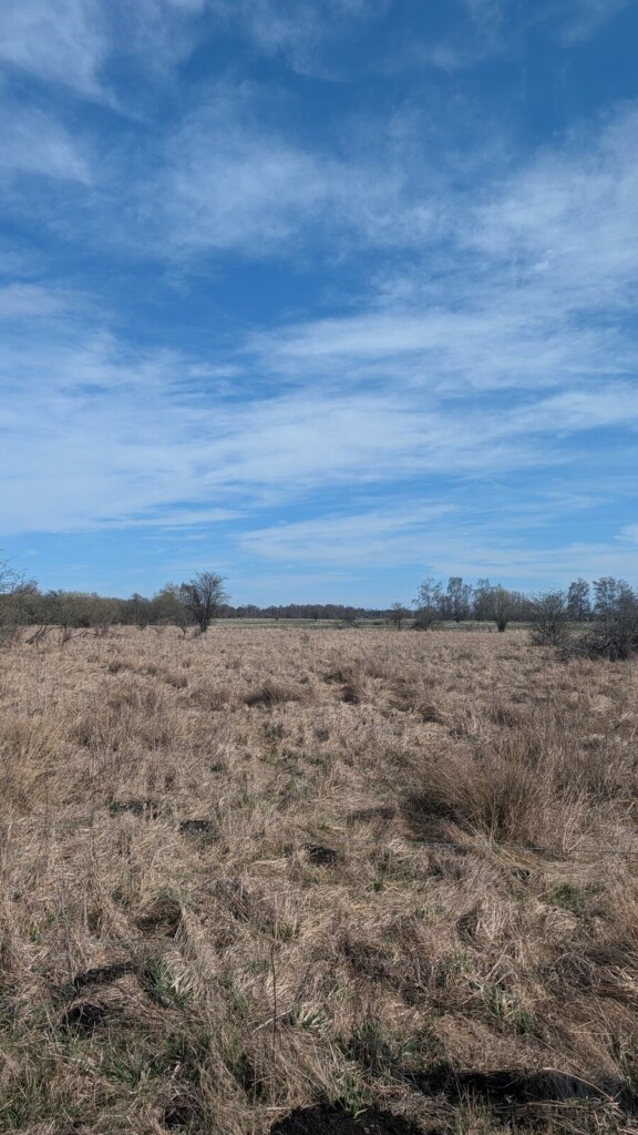 Moorlandschaft mit weitem Himmel